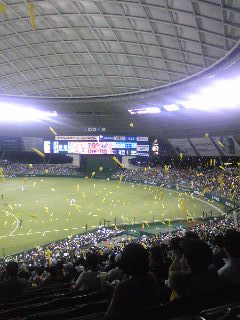 seibudome.jpg